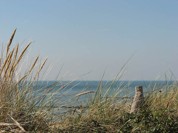 Foto duinen bij Vlissingen als illustratie bij de Aquana remedies