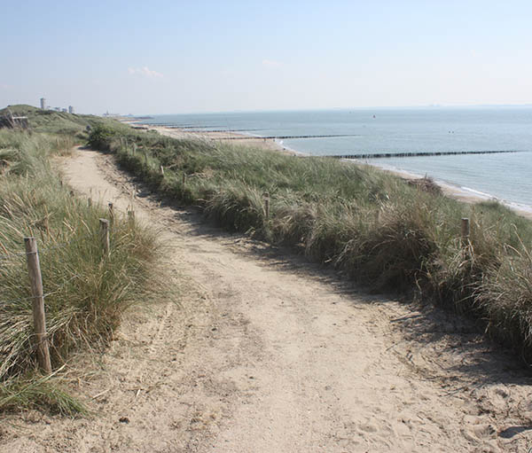 Foto duinen bij Vlissingen als illustratie bij de Aquana serie edelsteenremedies