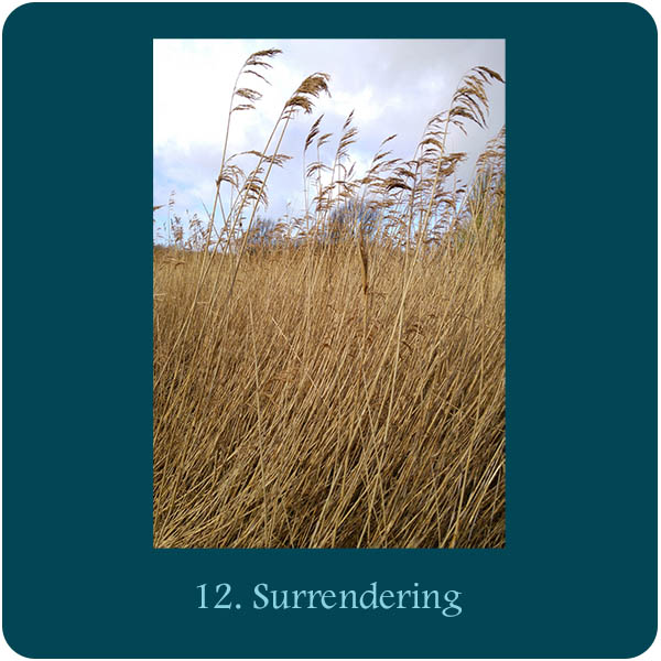 Kaart bij Aquana remedie 12. Surrendering