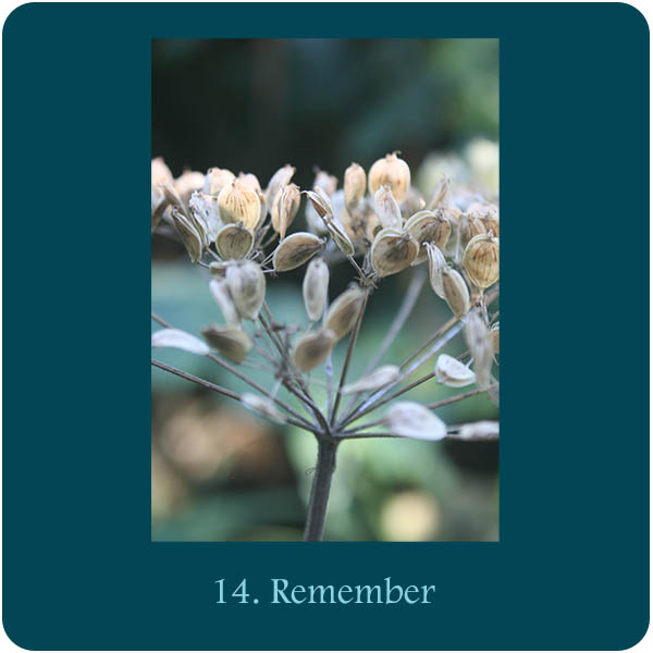 Kaart bij Aquana remedie 14. Remember