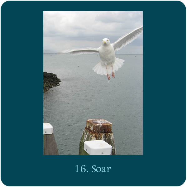 Kaart bij Aquana remedie 16. Soar