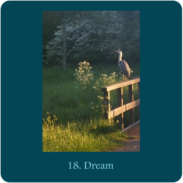 Kaart bij Aquana essence 18. Dream