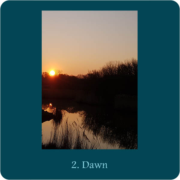 Kaart bij Aquana remedie 2. Dawn