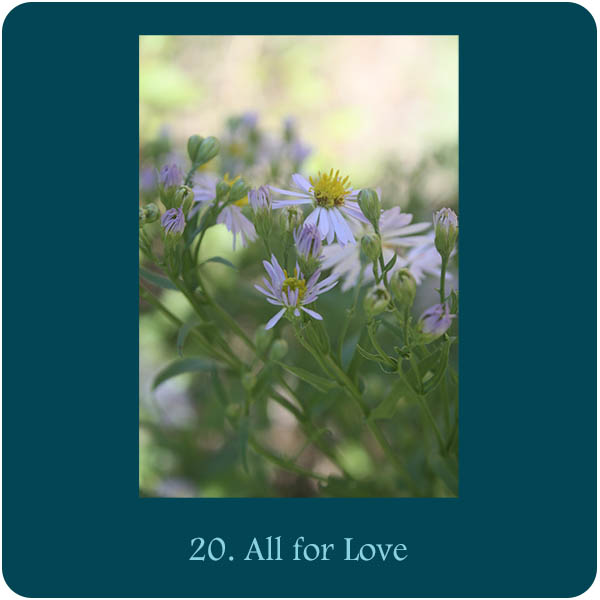 Kaart bij Aquana remedie 20. All for Love