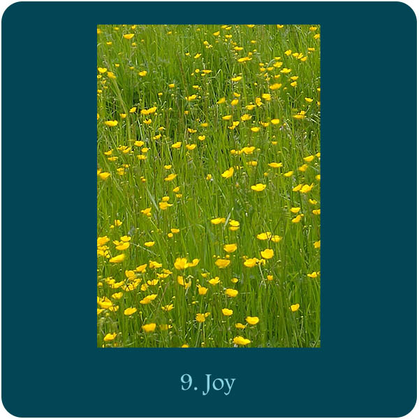 Kaart bij Aquana remedie 9. Joy