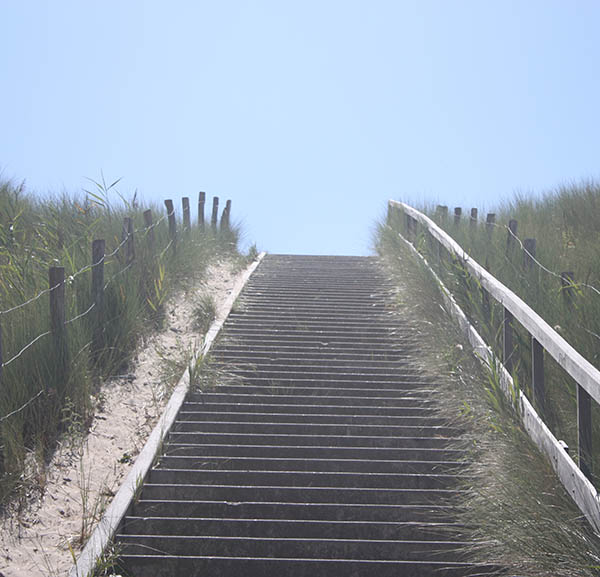 Foto duinen bij Vlissingen als illustratie op de pagina over de Aquana serie edelsteenremedies