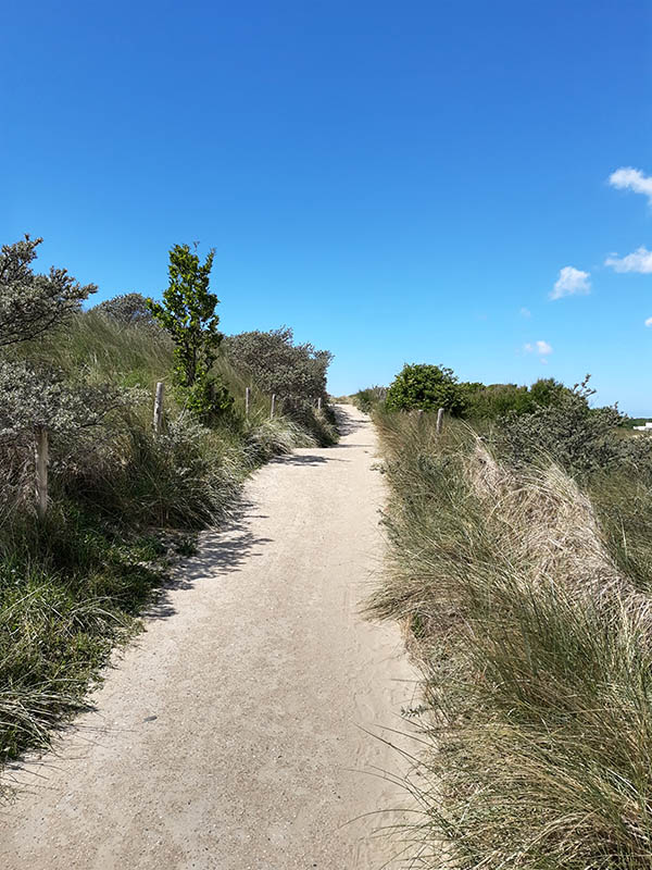 Foto duinen bij Vlissingen als illustratie bij de Aquana serie edelsteenremedies