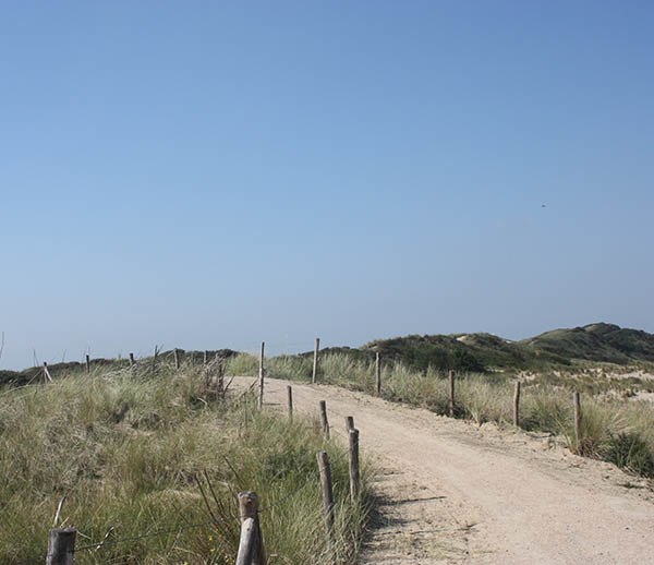 Foto duinen bij Vlissingen als illustratie bij de Aquana serie edelsteenremedies